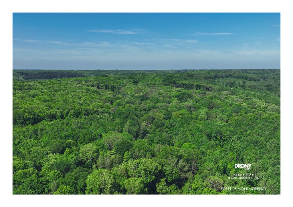 Les arbres de la forêt de Montmorency - vue aérienne par drone